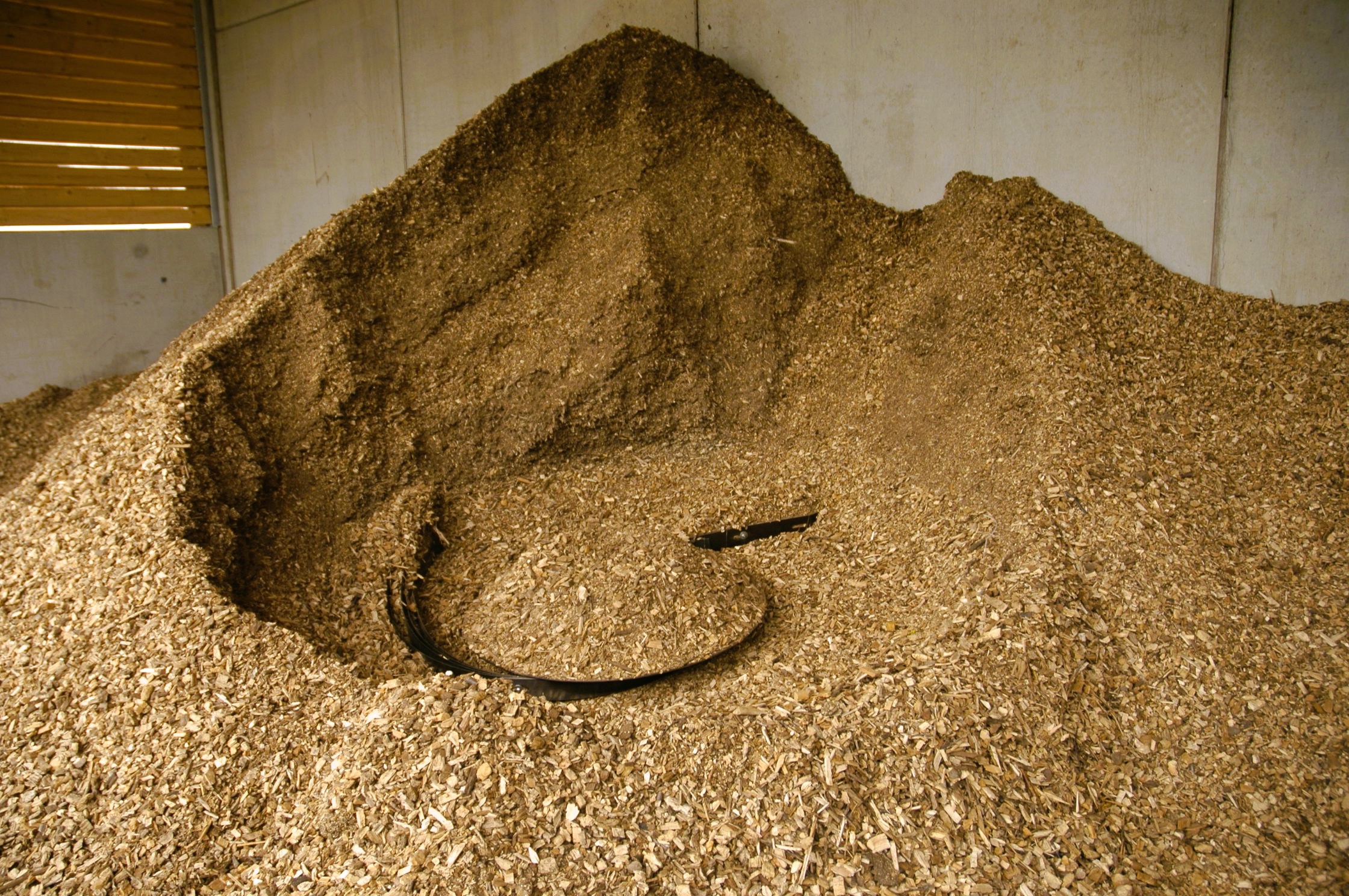 Biomass heating system