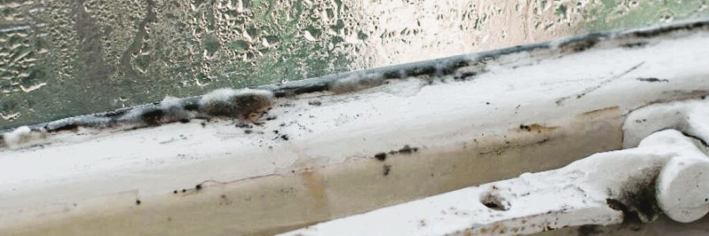 Mold on windows